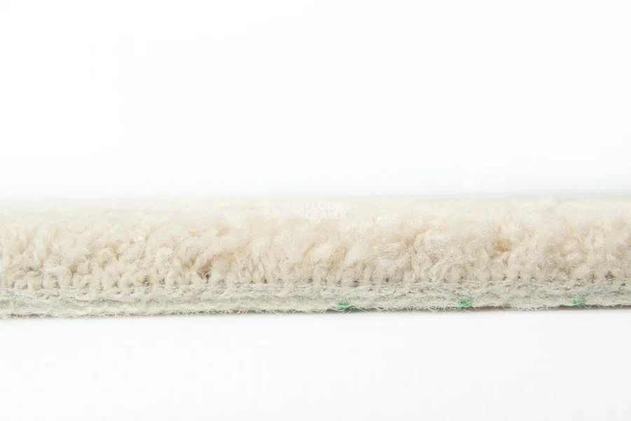 Vorwerk Superior 1065/Viola Vorwerk 8h52 фото 4 | FLOORDEALER